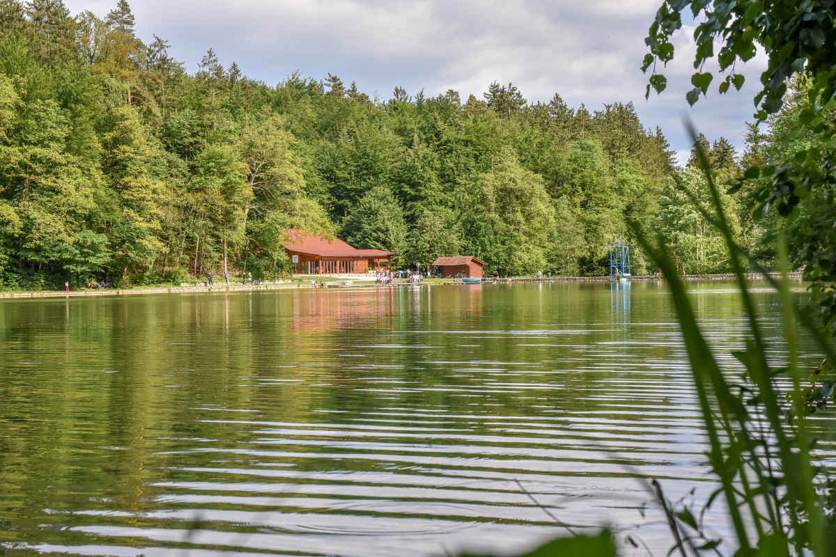 Lake Braslovče – 9,5km