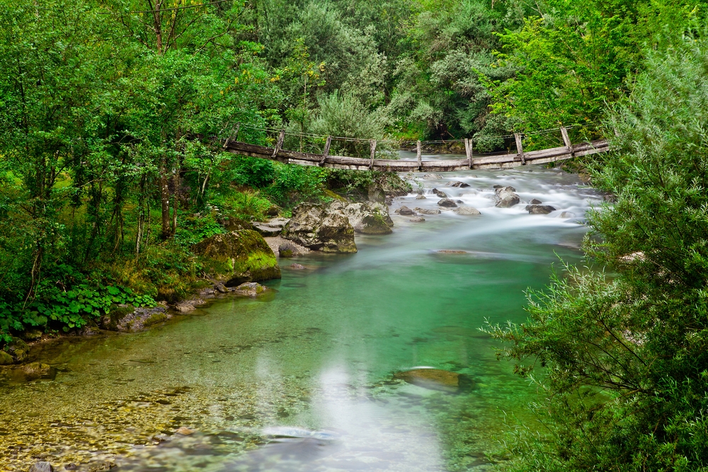 Reka Savinja. Fotografija: Jošt Gantar, www.slovenia.info