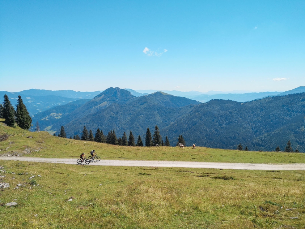 Velika planina