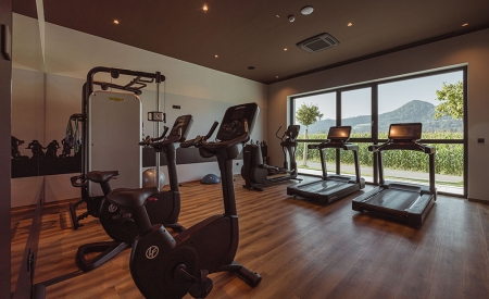 Hotel Grof, fitness